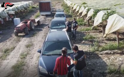 Maxi operazione anti-caporalato nel Foggiano: braccianti costretti a lavorare 16 ore al giorno: 10 misure cautelari